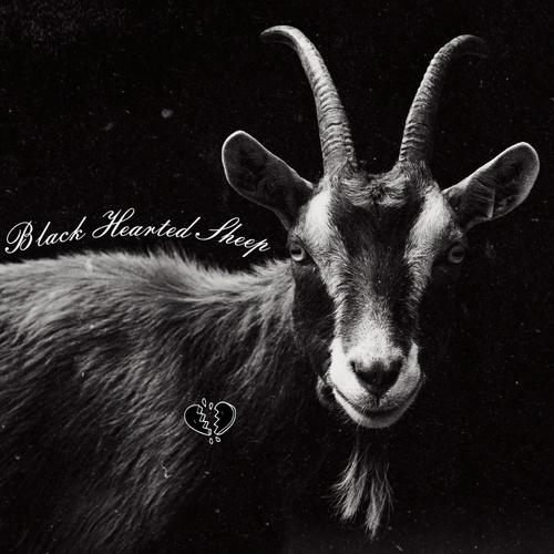 Cartel Beats, Vol. 2 (Black Hearted Sheep) [Explicit]