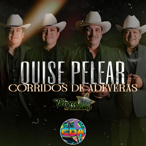 Quise Pelear