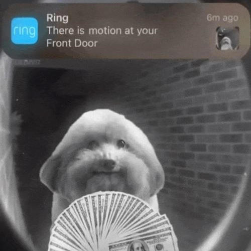 IN MOTION (feat. GCG)