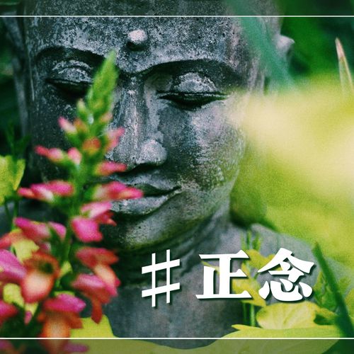 #正念 – 适合正念冥想，压力缓解的雨声、水声和轻音乐，放松音乐