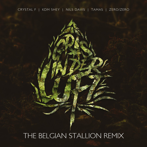 Gras in der Luft (The Belgian Stallion Remix) [Explicit]