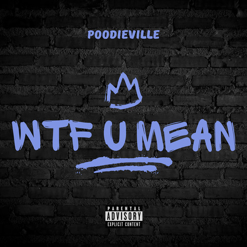 Wtf U Mean (Explicit)