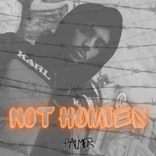NOT HOMIES (Explicit)
