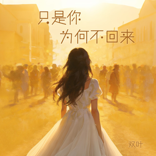 只是你为何不回来