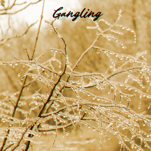 Gangling