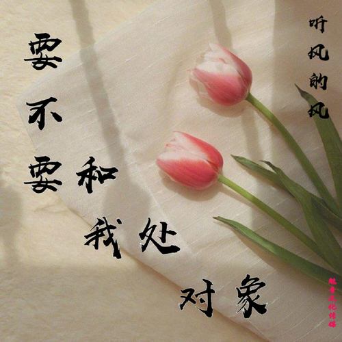 要不要和我处对象