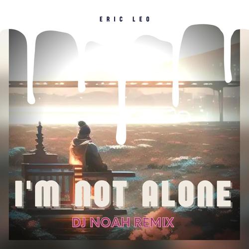I'm Not Alone (DJ Noah Remix)