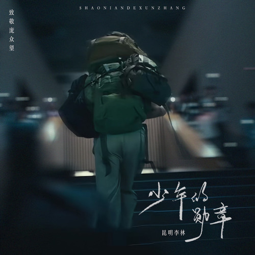 少年的勋章（致敬庞众望）