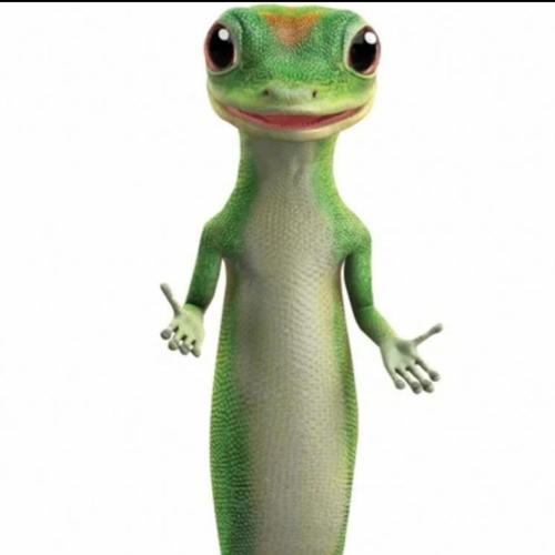 GEICO (Explicit)
