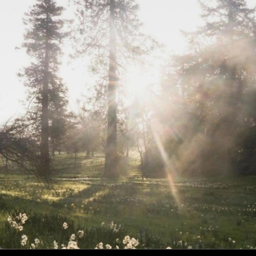 Imissyou (feat. Kilo Heart) [Explicit]