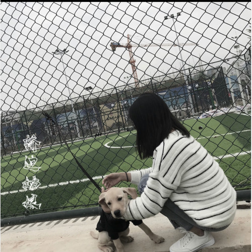 错的时间遇见对的你