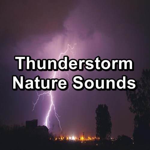 Thunderstorm Nature Sounds