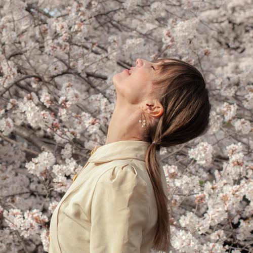 Spring Songs On The Fly (Explicit)