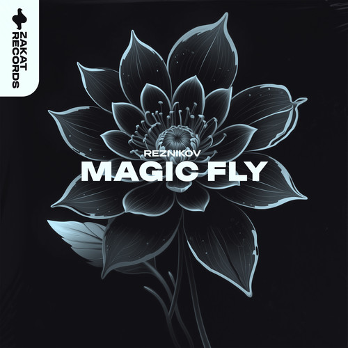 Magic Fly