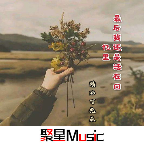 最后我还是活在回忆里