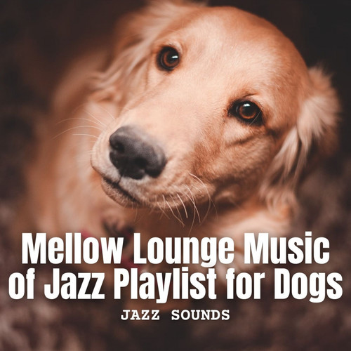 Jazz Sounds: Mellow Lounge Music of Jazz Playlist for Dogs