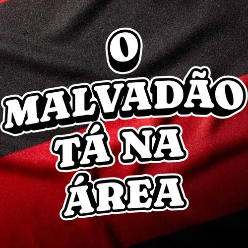 O Malvadão Tá Na Área (Urubu House Mix)