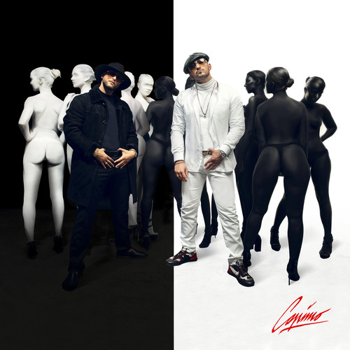 Capimo (Explicit)