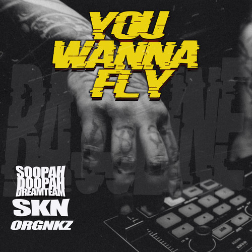 YOU WANNA FLY (Explicit)