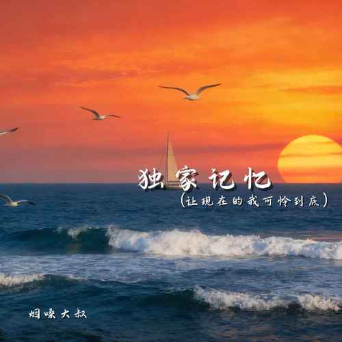 独家记忆（让现在的我可怜到底）