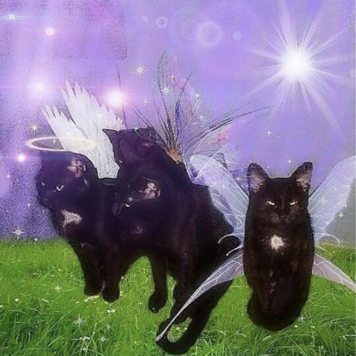 Take Care <3 (JUULPODPRINCESS Remix) [Explicit]