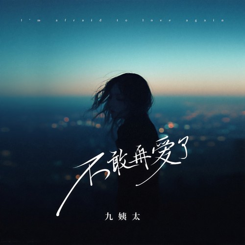 不敢再爱了