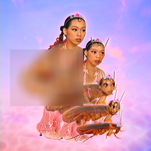 FROM FLORIDA'S FINEST