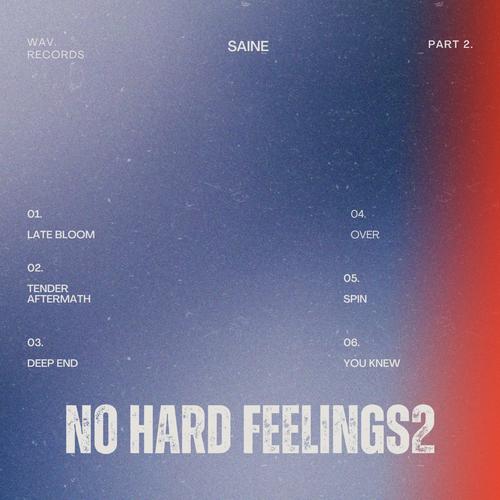 No Hard Feelings 2