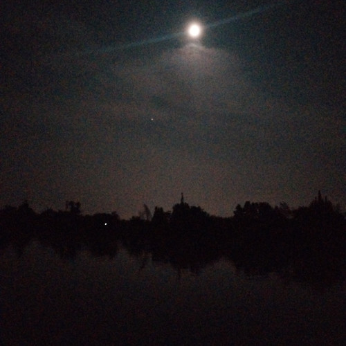 平庸时光里的囚徒