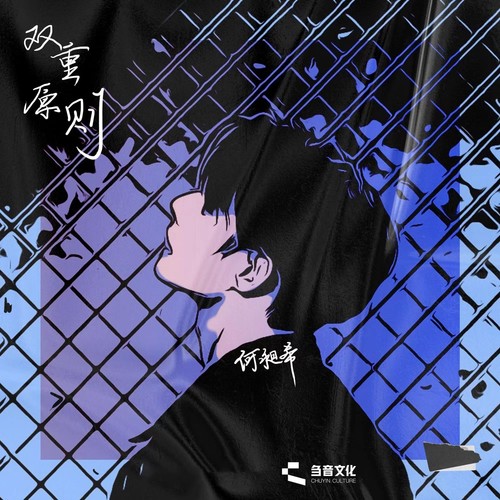双重原则