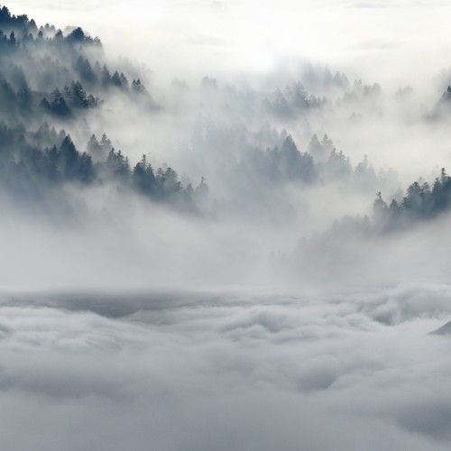 20 Relaxing Christmas Melodies for Family and Friends