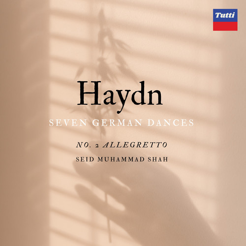 Haydn SGD: Allegretto No.2