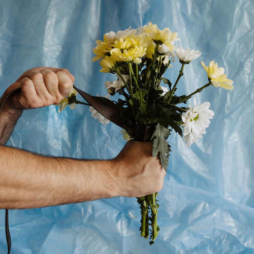 Мягкое сердце