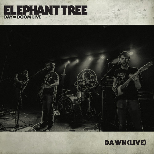 Dawn (Live)