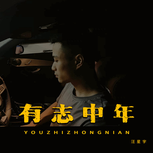 有志中年