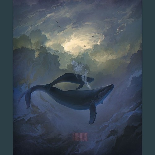 指弹吉他曲 《鲸歌》 陈亮 宋依凡改编 萨满乐队