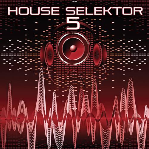 House Selektor, Vol. 5