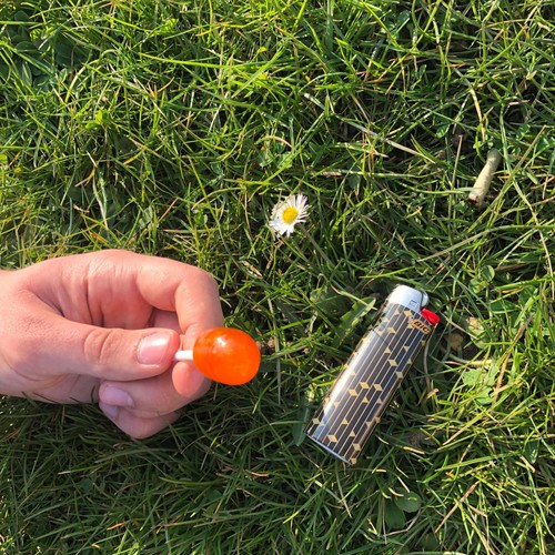 WERDEGANG (Explicit)