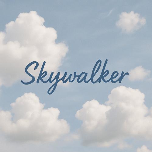 Skywalker (Radio Edit)