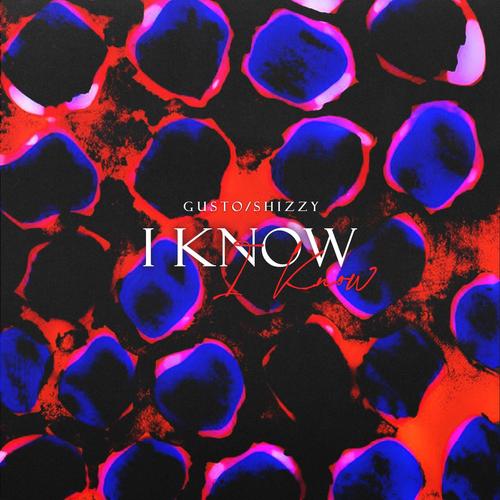 I KNOW (feat. Shizzy) [Explicit]