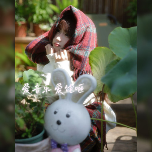 我的小小小世界