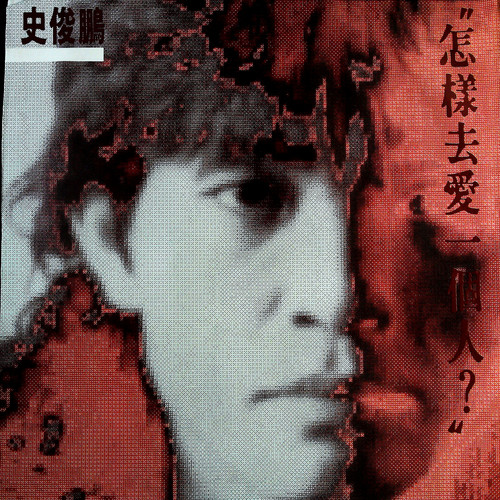 怎样去爱一个人(黑胶版)