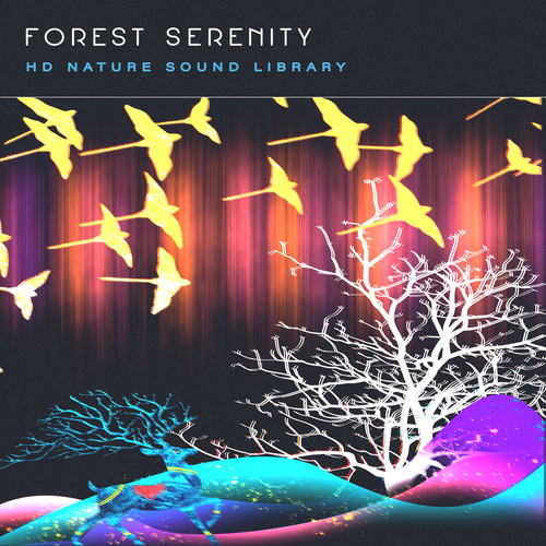 Forest Serenity