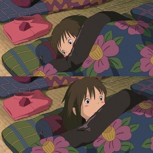 小李的成长日记