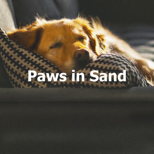 Paws in Sand