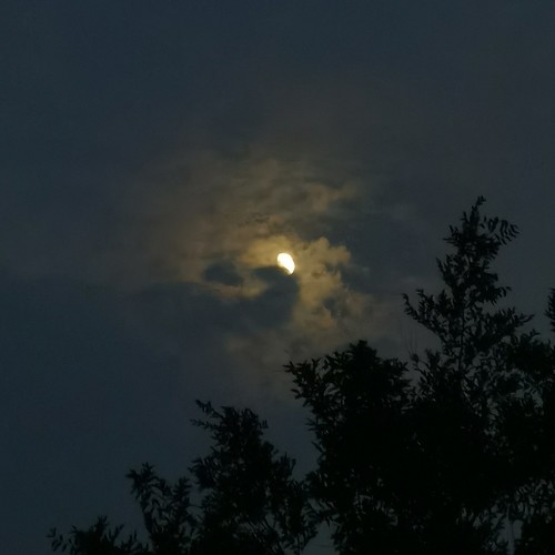 金风玉露(翻唱)