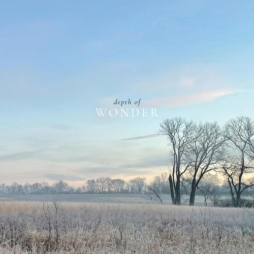 Depth Of Wonder