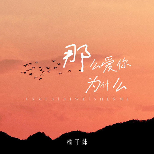 那么爱你为什么