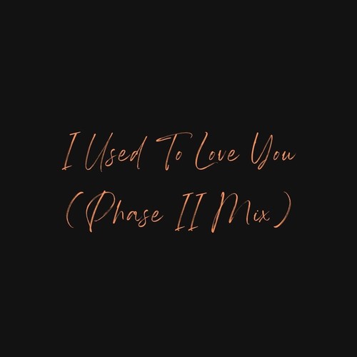 I Used To Love You (Phase II Mix)