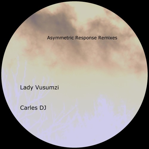 Asymmetric Response (Remixes)